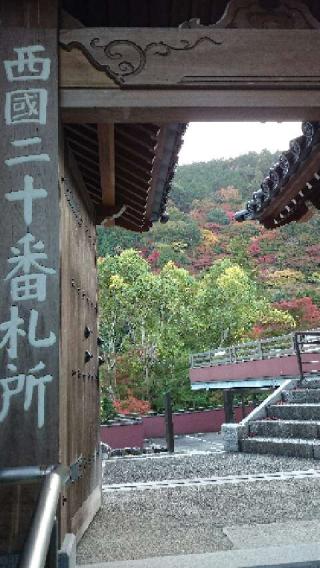 西山 善峯寺 経堂の参拝記録(お寺でポンタさん)