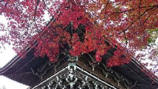西山 善峯寺 経堂の参拝記録(お寺でポンタさん)