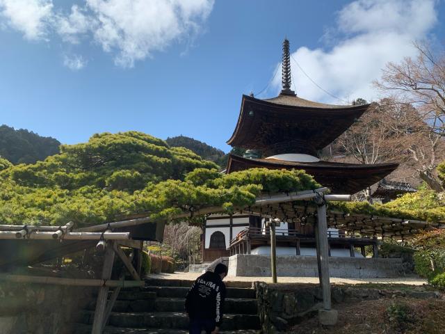 西山 善峯寺 多宝塔の参拝記録9