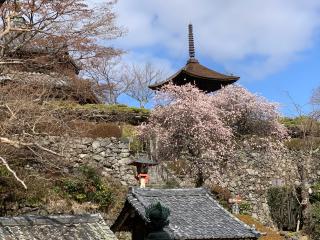 西山 善峯寺 多宝塔の参拝記録(みかねーさん)