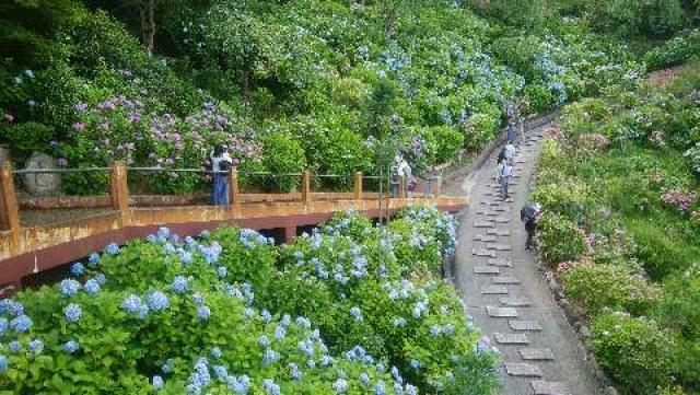 西山 善峯寺 幸福地蔵の参拝記録6