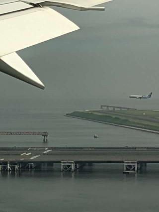 羽田航空神社の参拝記録(たこやきさん)