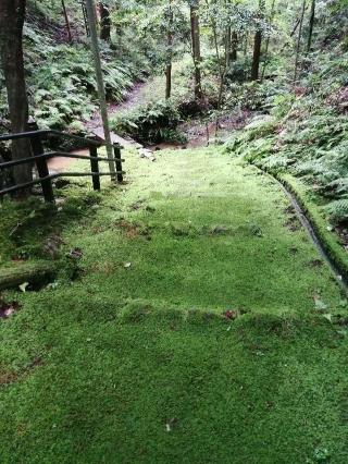 霊山寺奥之院の参拝記録(さくらさん)