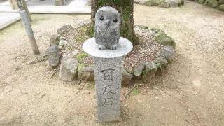徳義稲荷神社の参拝記録(yukiさん)