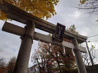 岩淵八雲神社の参拝記録(🐺⛩️🐺さん)