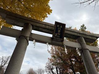 岩淵八雲神社の参拝記録(千葉犬🐶さん)