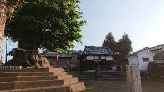 八幡神社（東松山市宮鼻）の参拝記録(thonglor17さん)