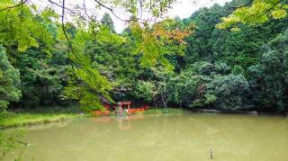 靇神神社の参拝記録(ひろ神社仏閣さん)