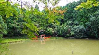 靇神神社の参拝記録(ひろ神社仏閣さん)