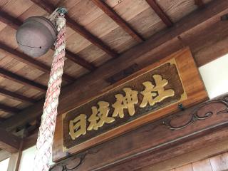 日枝神社の参拝記録(桜響さん)