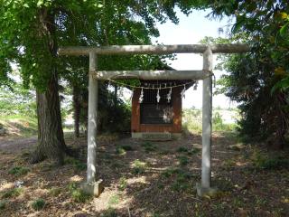 若宮八幡宮（加須市油井ヶ島）の参拝記録(かんたろうさん)