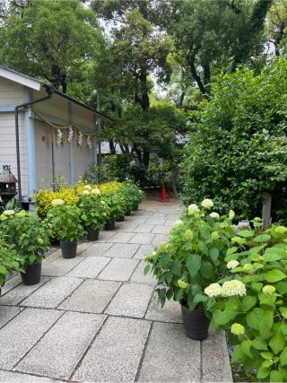 瀧丸稲荷大明神（坐摩神社境内社）の参拝記録(⛩️🐍🐢まめ🐢🐍⛩️さん)