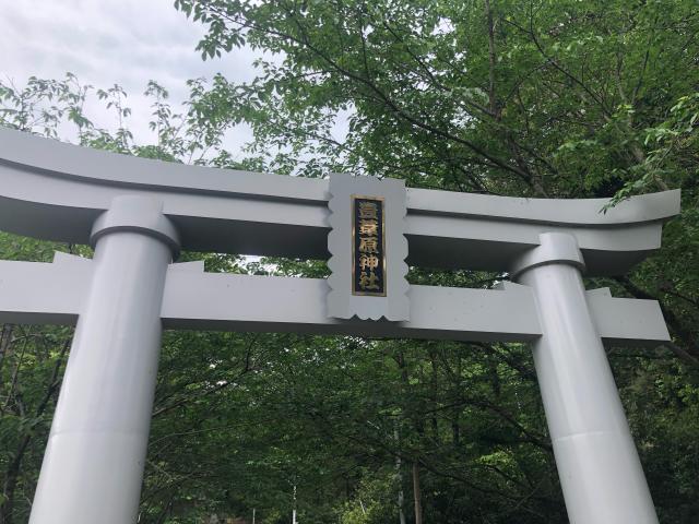 熊本県八代市豊原上町3011 豊葦原神社(遥拝神社)の写真3