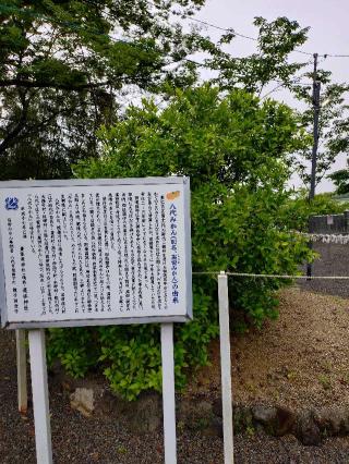 豊葦原神社(遥拝神社)の参拝記録(なぬなぬさん)