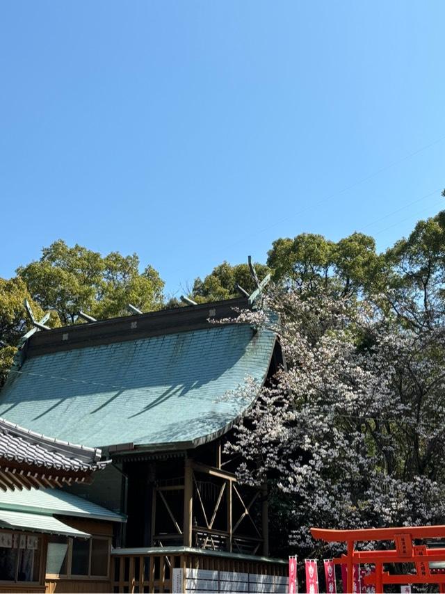 豊葦原神社(遥拝神社)の参拝記録4