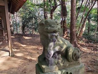 外川神社の参拝記録(飛成さん)