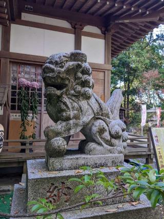 佐麻久嶺神社の参拝記録(なぎみさん)