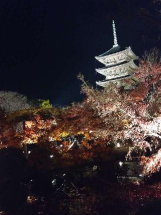 東寺五重塔の参拝記録(くろろさん)