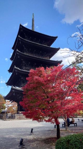 東寺　毘沙門堂の参拝記録(うさこさん)