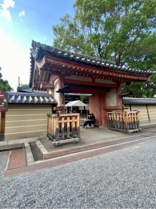 東寺　灌頂院の参拝記録(さくらさん)