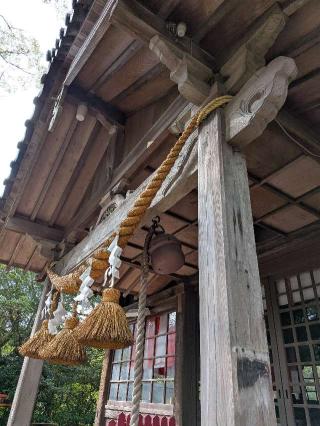 亀山神社の参拝記録(こまいぬおさん)