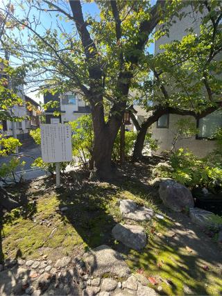 天鈿女命神社（湊稲荷神社境内社）の参拝記録(こうさん)