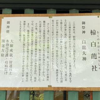 二宮椋白龍神社の参拝記録(結(ゆい)さん)