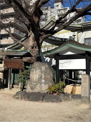 二宮椋白龍神社の参拝記録(ほちさん)