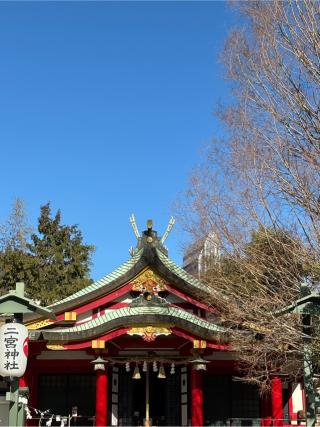 二宮椋白龍神社の参拝記録(ほちさん)