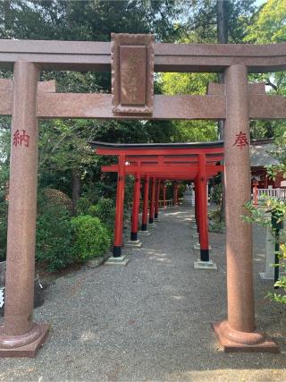 亀八招福稲荷神社(亀ヶ池八幡宮境内社)の参拝記録(おおくすさん)