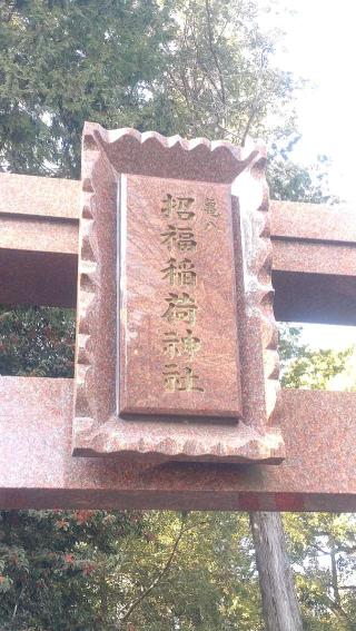 亀八招福稲荷神社(亀ヶ池八幡宮境内社)の参拝記録(ステイさん)
