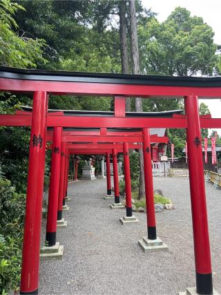 亀八招福稲荷神社(亀ヶ池八幡宮境内社)の参拝記録(⛩️🐉🐢まめ🐢🐉⛩️さん)