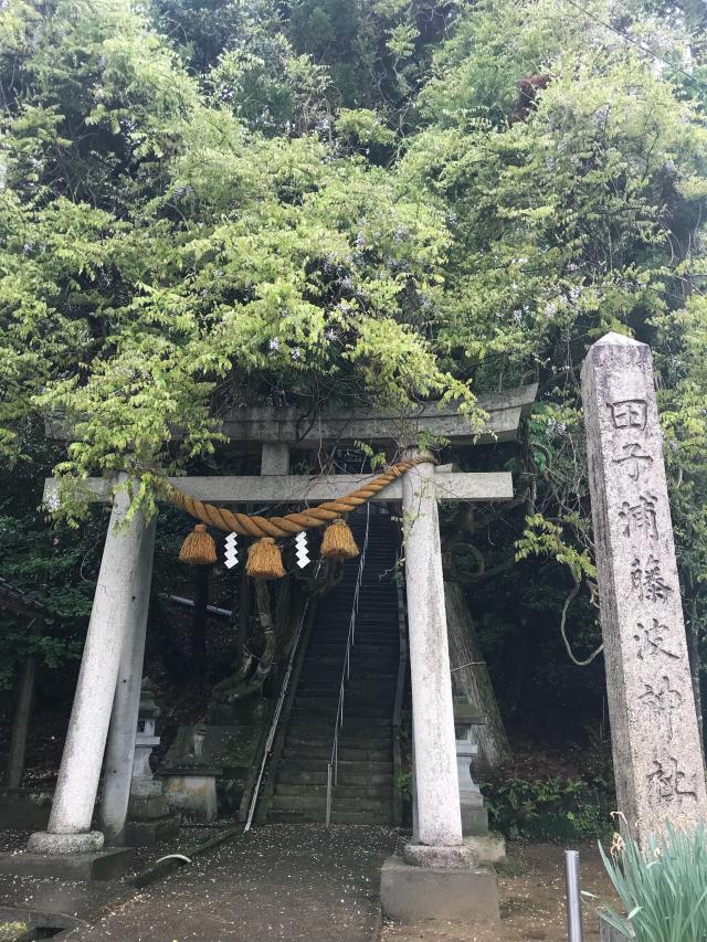 富山県氷見市下田子1429 田子浦藤波神社の写真1