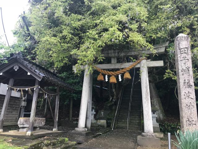 田子浦藤波神社の参拝記録2