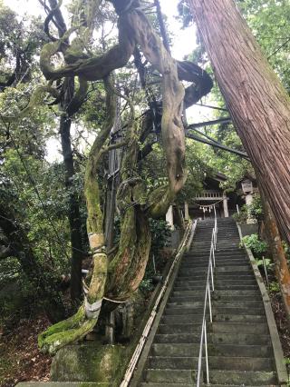 田子浦藤波神社の参拝記録(Crystalさん)