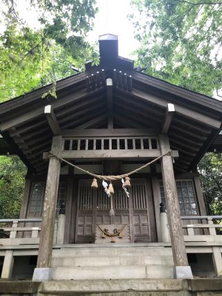 田子浦藤波神社の参拝記録(Crystalさん)