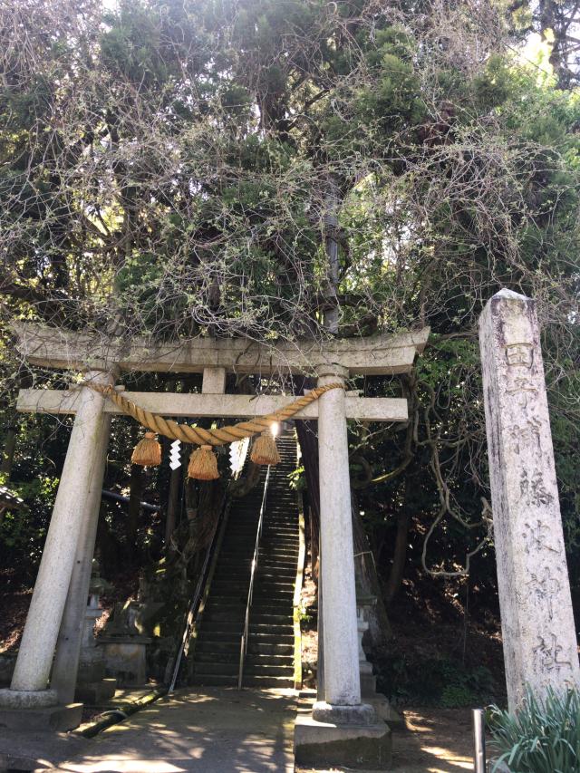 田子浦藤波神社の参拝記録1