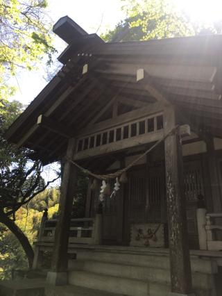 田子浦藤波神社の参拝記録(Crystalさん)