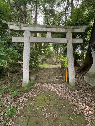 雷神社の参拝記録(こーちんさん)