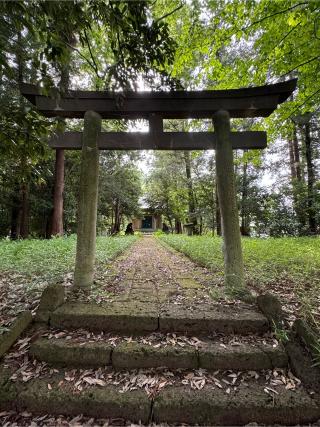 雷神社の参拝記録(こーちんさん)