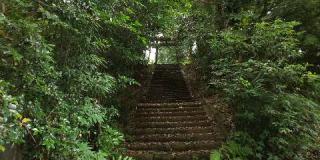 雷神社の参拝記録(優雅さん)