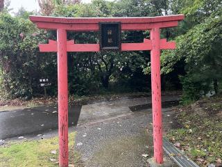 粟嶋社の参拝記録(Plutoさん)