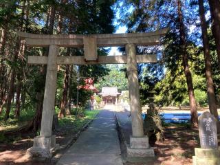 八幡神社（小川町大塚）の参拝記録(レモンサワーさん)