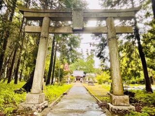 八幡神社（小川町大塚）の参拝記録(shikigami_hさん)