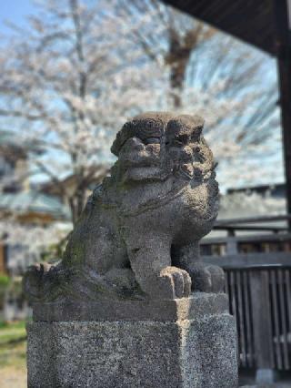八幡神社（小川町角山）の参拝記録(たけちゃ～ん⚾さん)