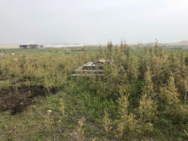 福島県双葉郡浪江町請戸字東迎38 苕野神社の写真5