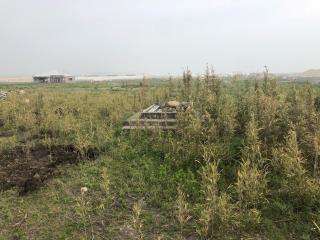 苕野神社の参拝記録(みつをさん)