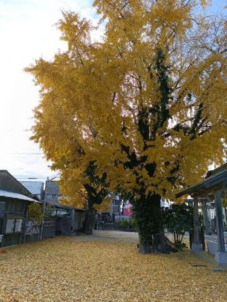 四王子神社の参拝記録(ゆみねえさん)