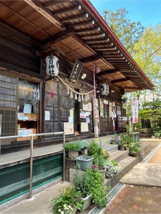 岡部春日神社の参拝記録(美谷さん)