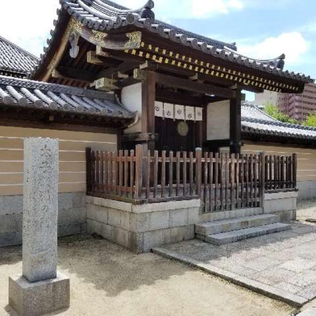 四天王寺猫の門の写真1
